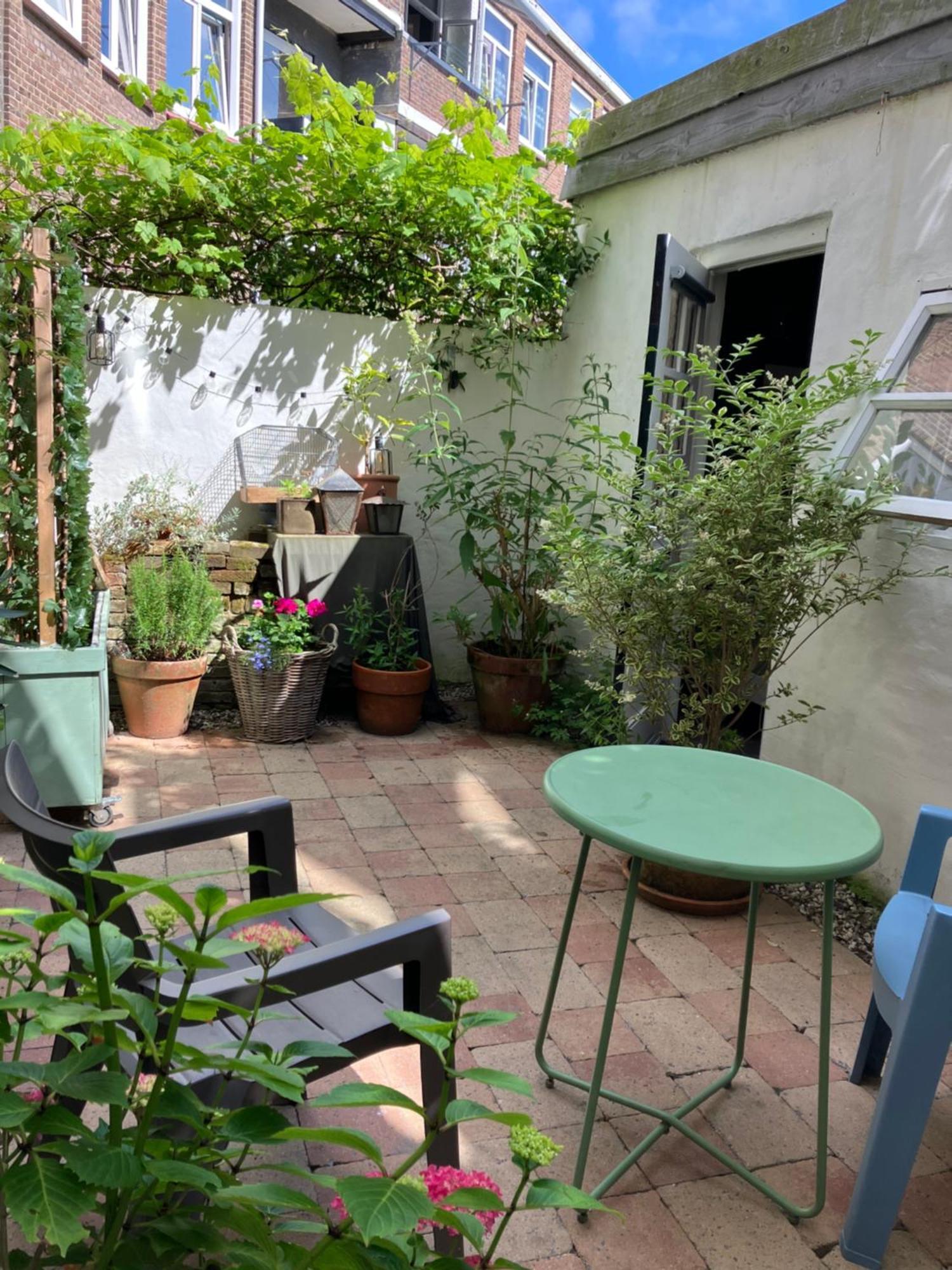 Antonia Beach House 헤이그 외부 사진