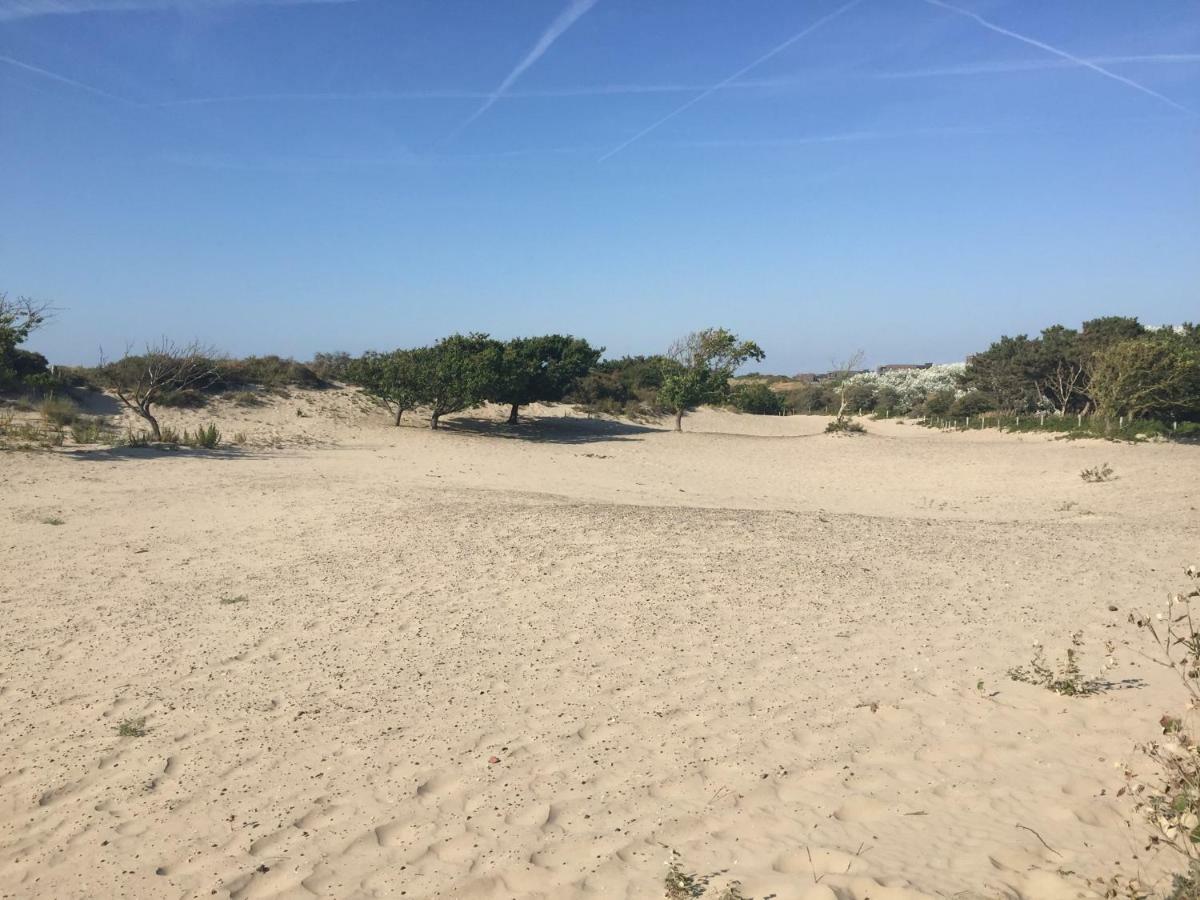 Antonia Beach House 헤이그 외부 사진